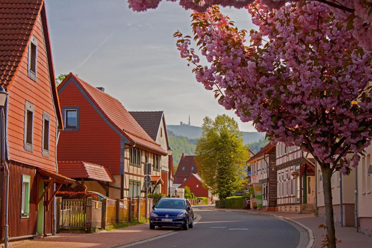 Haus Ilsegarten Ilsenburg Dış mekan fotoğraf